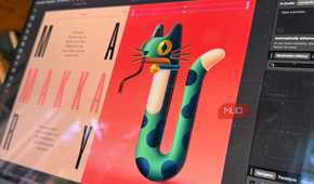 Affinity on a Mac.