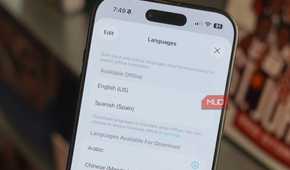 Languages available for download in the Apple Translate app.