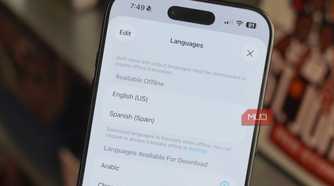 Languages available for download in the Apple Translate app.