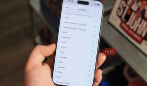 Languages available for download in the Apple Translate app.