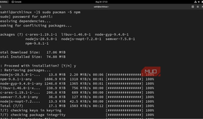 Arch Linux terminal commands to install npm.