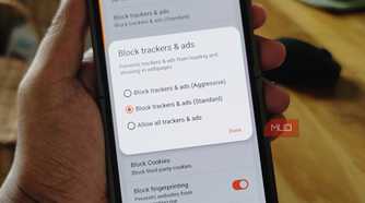Brave browser ad blokcer options