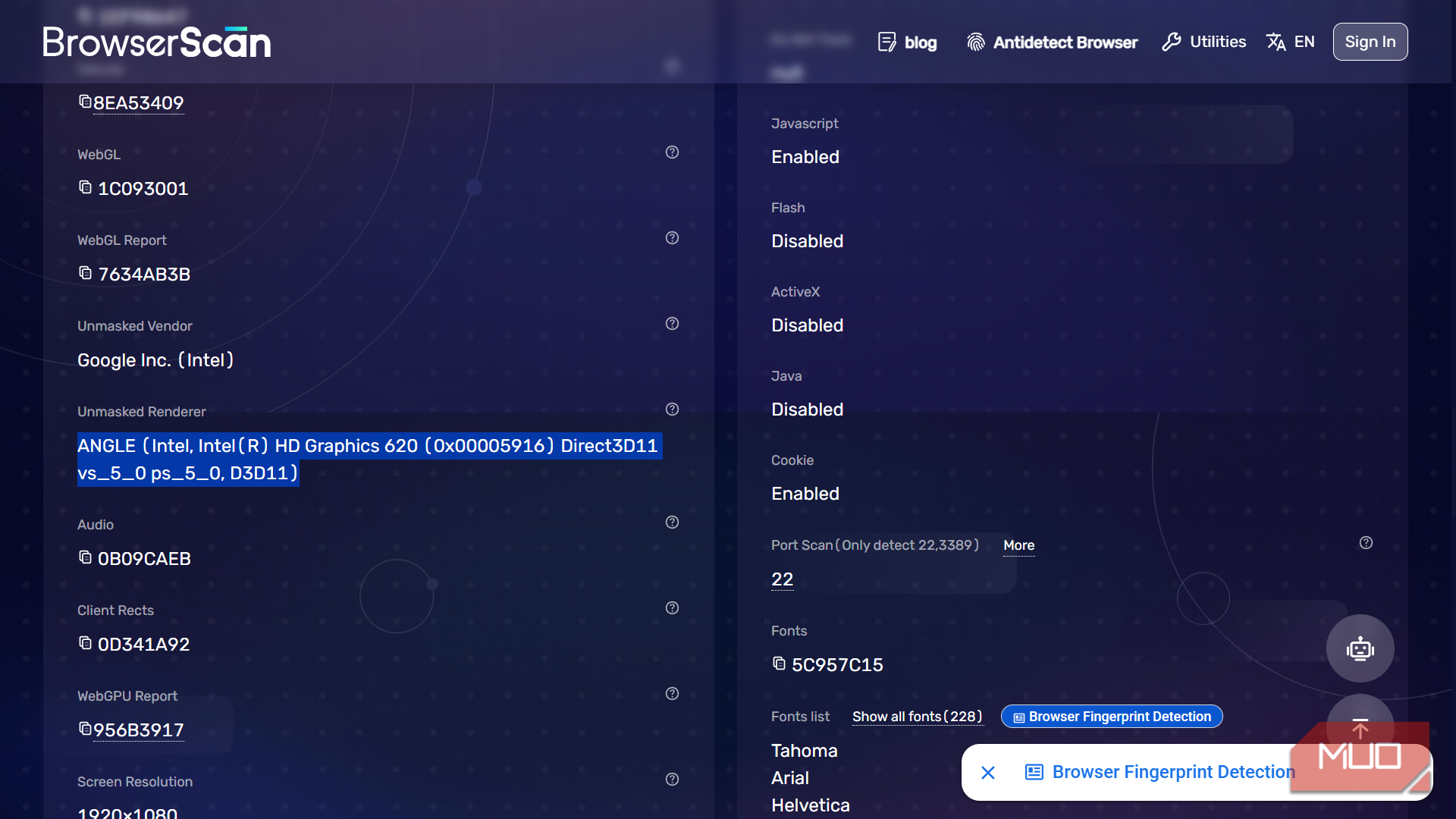 Browser fingerprint detection settings and details