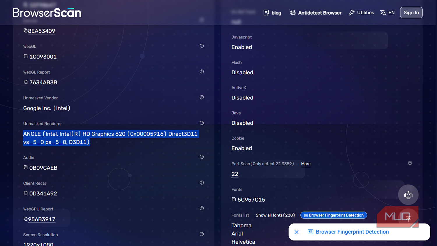 Browser fingerprint detection settings and details
