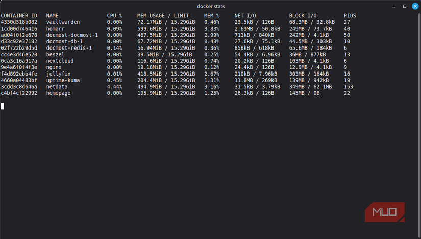 Docker stats showing memory usage for running containers