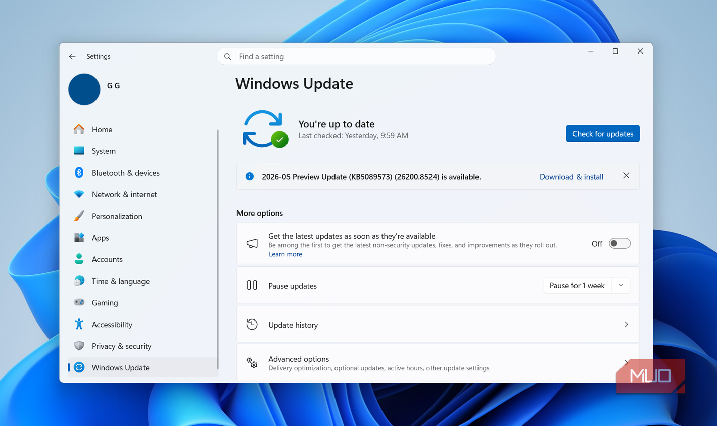Software Update Screenshot Microsoft's new Windows 11 update has a hidden performance booster ...