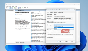 Error Reporting service properties on Windows
