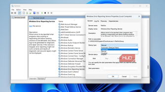 Error Reporting service properties on Windows