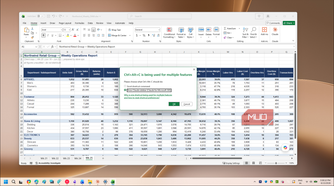 Excel Ctrl Alt C shortcut conflict dialog