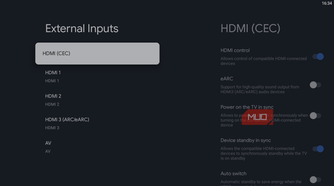 External inputs setting on TV