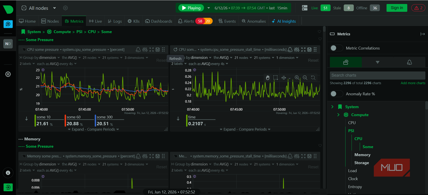 Extra Netdata CPU data