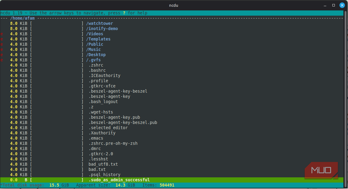 filtered list on ncdu