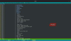 filtered list on ncdu