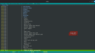 filtered list on ncdu