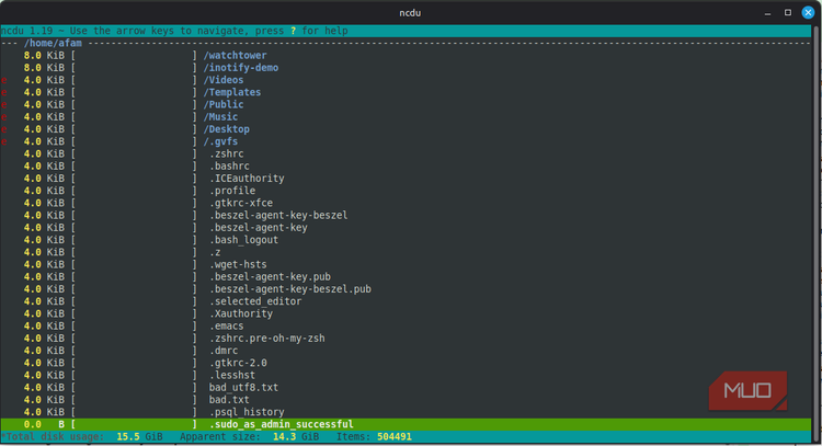 filtered list on ncdu