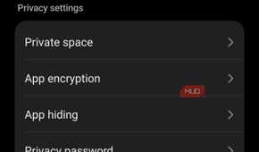 Finding More security settings on a Vivo phone