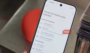 The Gemini for Home settings page that includes voice selection.