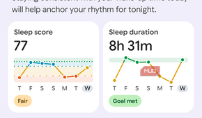 Viewing health and fitness data in the Google Health app.