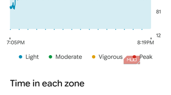 Viewing health and fitness data in the Google Health app.