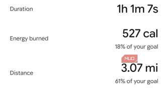 Viewing health and fitness data in the Google Health app.