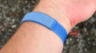 The back strap of the Fitbit Air.