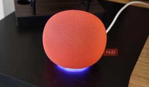 The glow ring on the bottom of the Google Home Speaker.