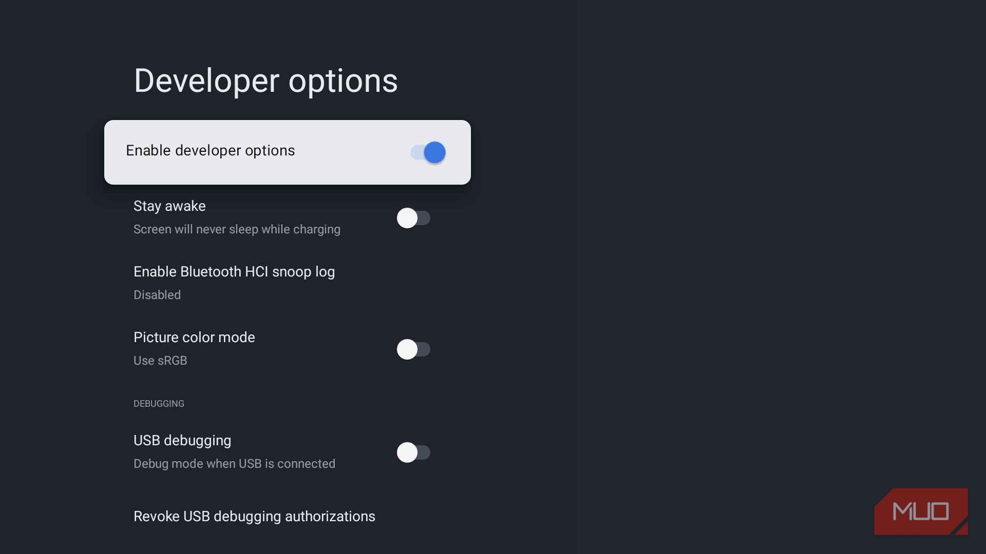 Google TV Developer Options menu with the Enable developer options toggle turned on