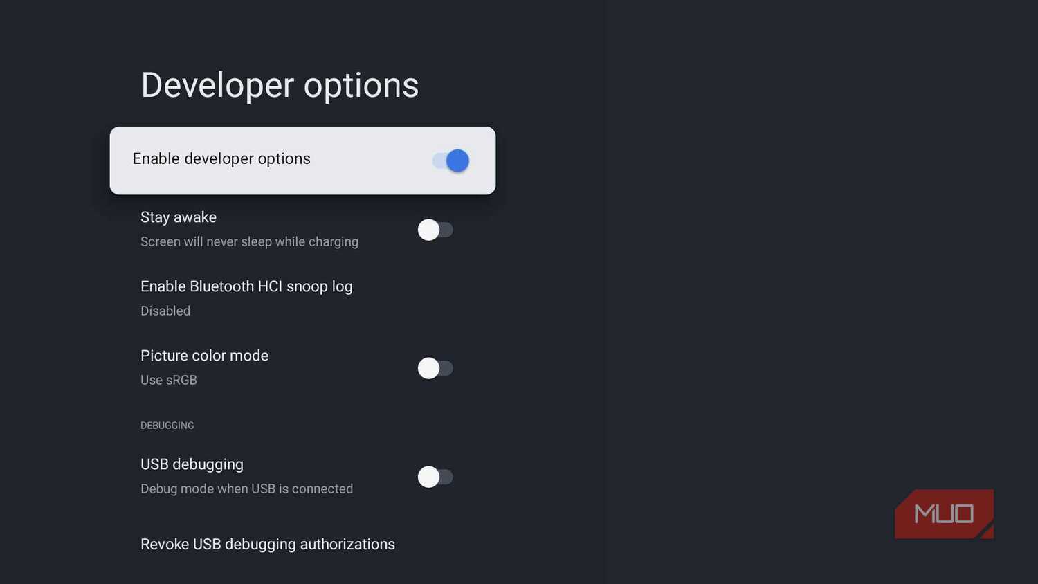 Google TV Developer Options menu with the Enable developer options toggle turned on
