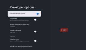 Google TV Developer Options menu with the Enable developer options toggle turned on