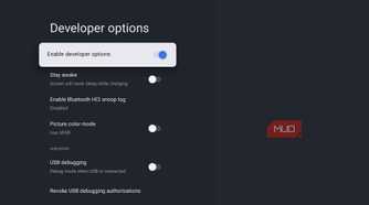 Google TV Developer Options menu with the Enable developer options toggle turned on