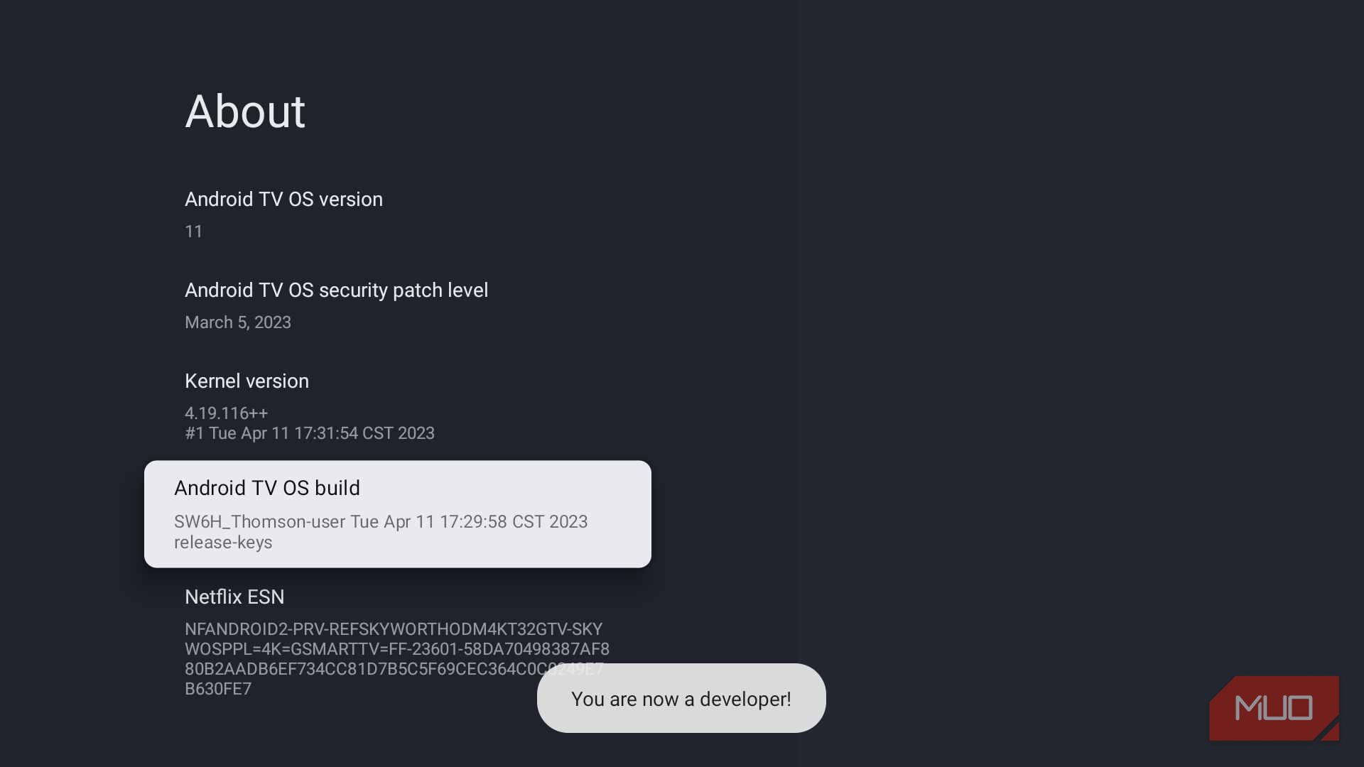 Google TV About page displaying the "You are now a developer!" confirmation message