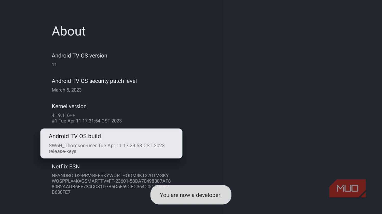 Google TV About page displaying the "You are now a developer!" confirmation message