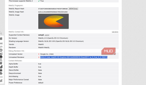 GPU fingerprint in a browser.
