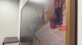 hisense canvas tv matte display