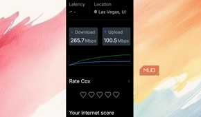 Internet speeeds as seen on the Fing app.