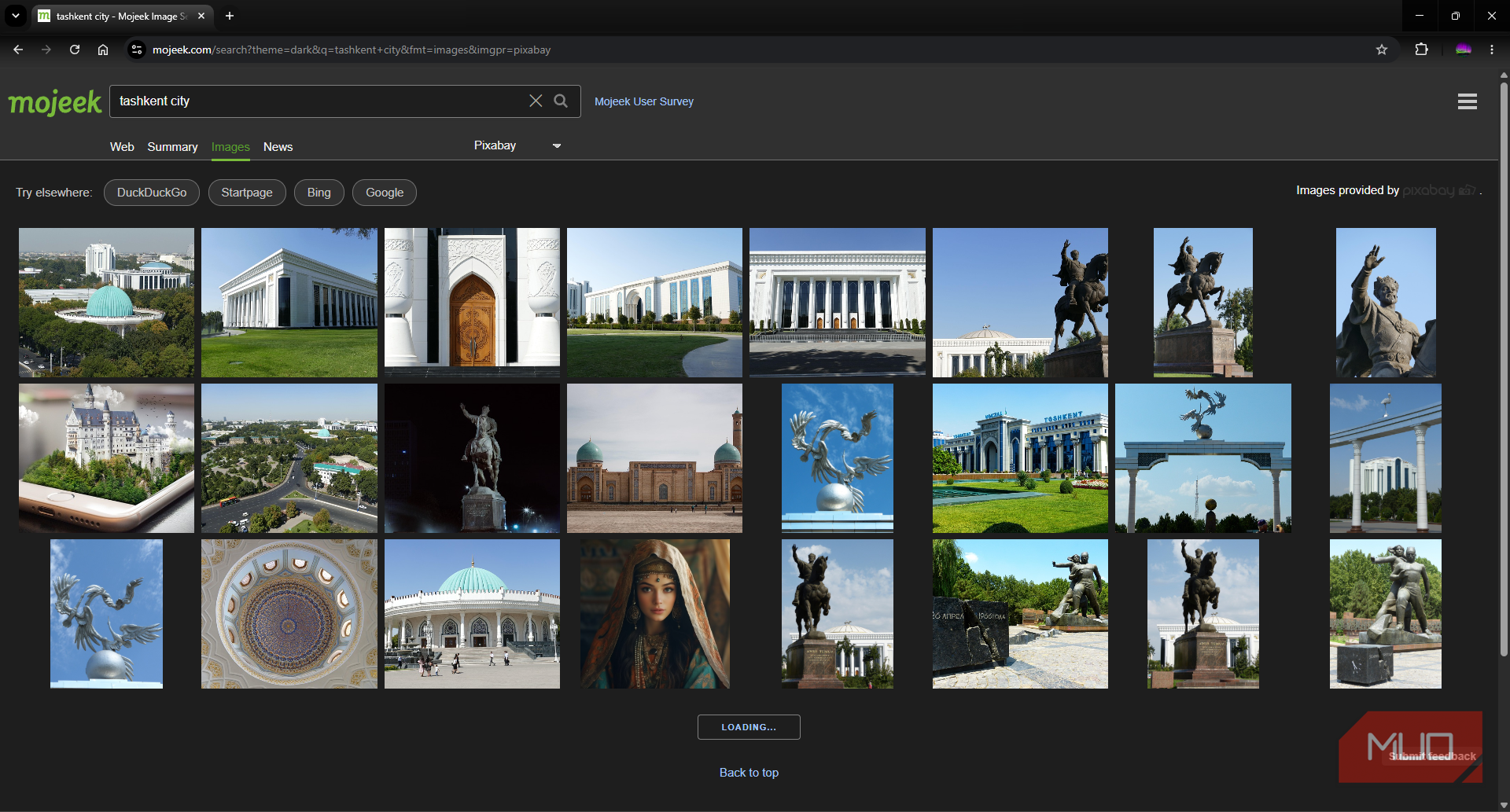 Mojeek search engine image search page