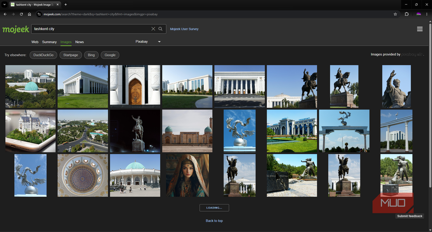 Mojeek search engine image search page