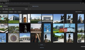 Mojeek search engine image search page