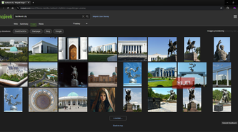 Mojeek search engine image search page
