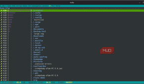 ncdu results display