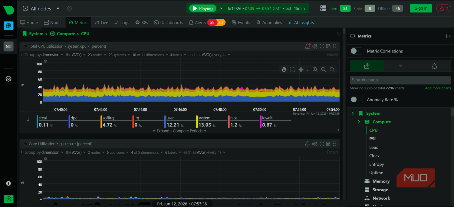 Netdata CPU data