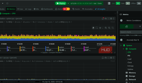 Netdata CPU data