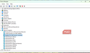Network Adapters in Device Manager