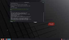 Nix package manager detailed list of installation.