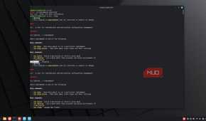 Nix package manager help screen.