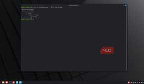 Nix package manager running an app without installing.