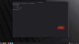 Nix package manager running an app without installing.