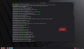 Nix package manager searching for Firefox.