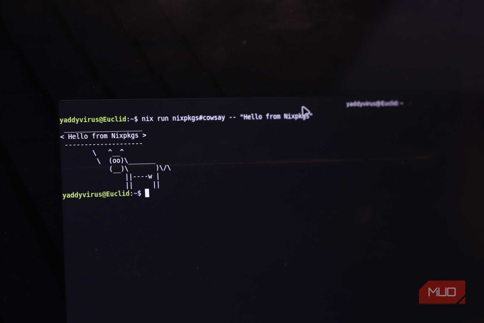 Nix package manager terminal command.