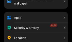 Opening Security & privacy in Vivo Settings